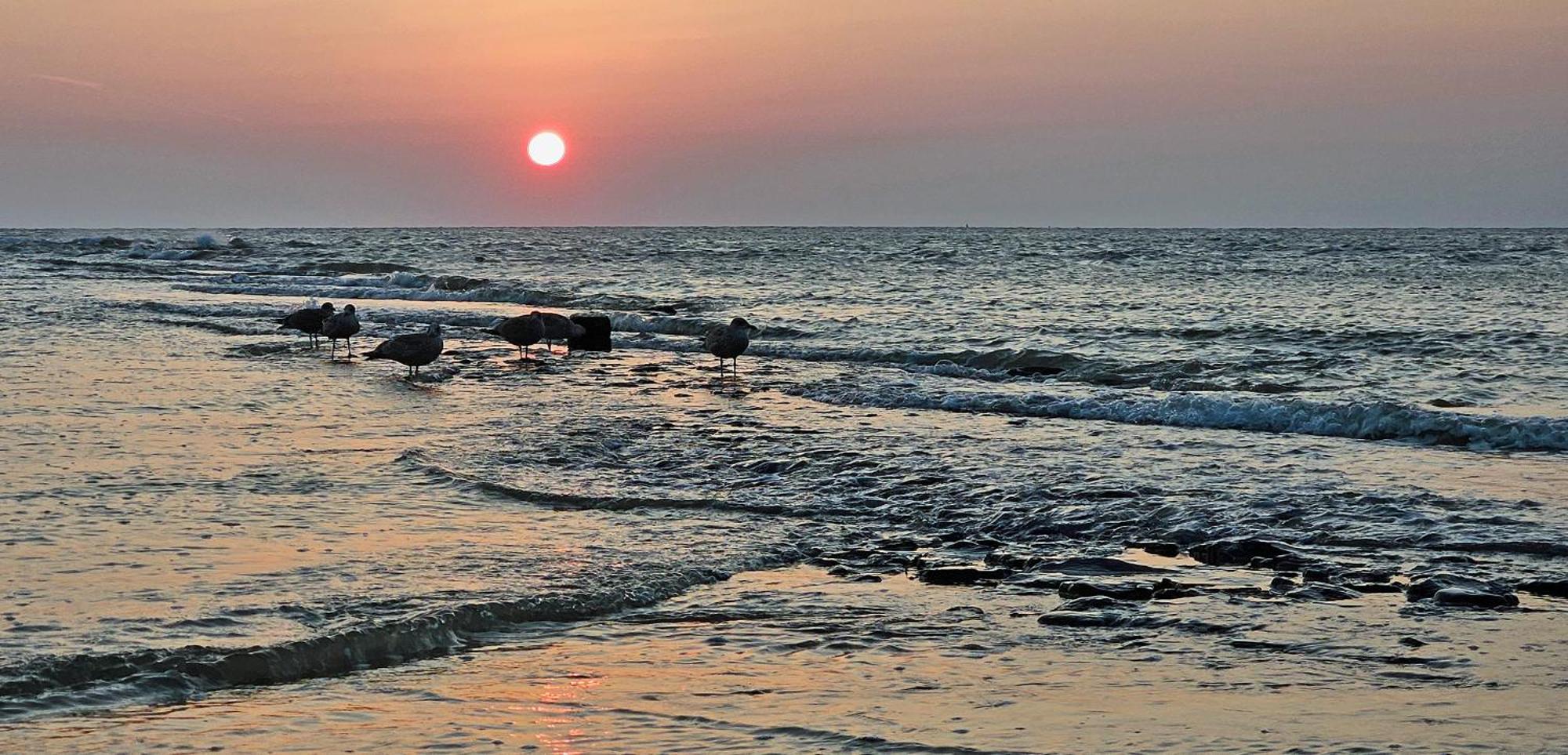 Zanddijk 113, Julianadorp Aan Zee Buitenkant foto